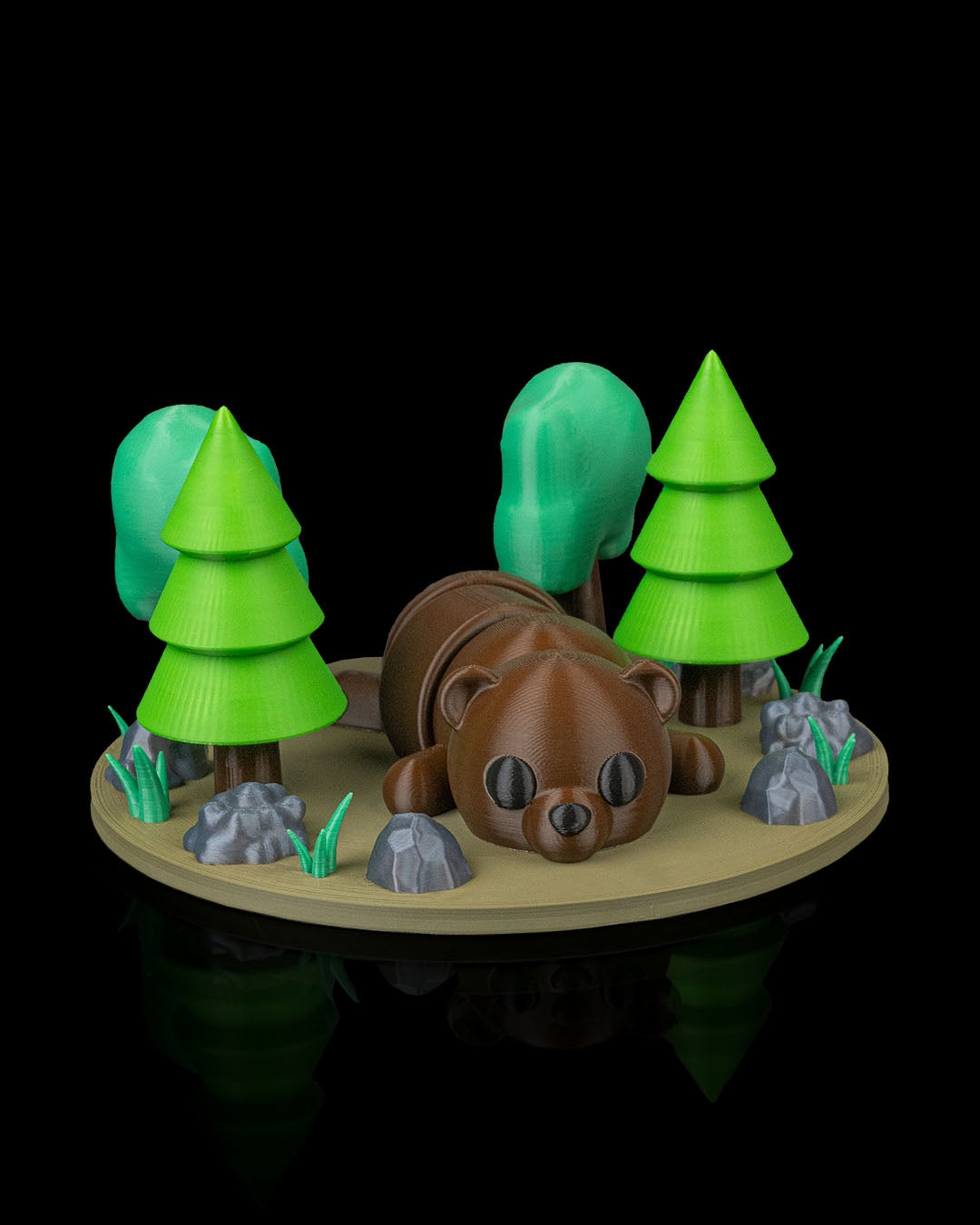 Brown Bear, Black Bear, Oh MY!