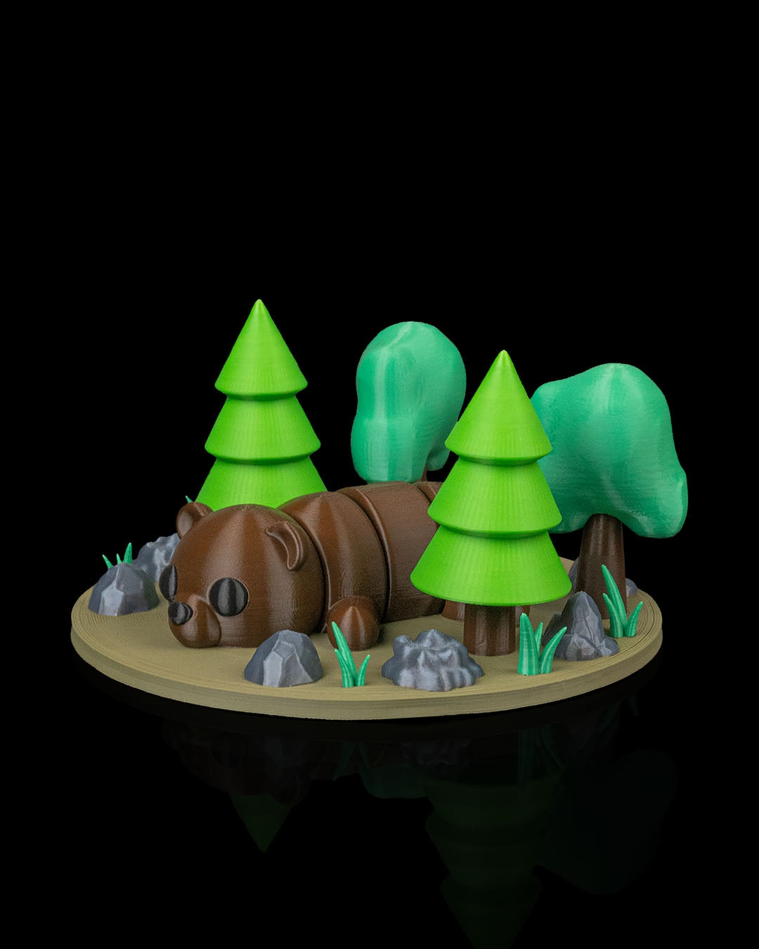 Brown Bear, Black Bear, Oh MY!