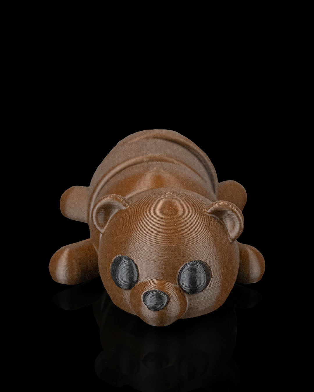 Brown Bear, Black Bear, Oh MY!