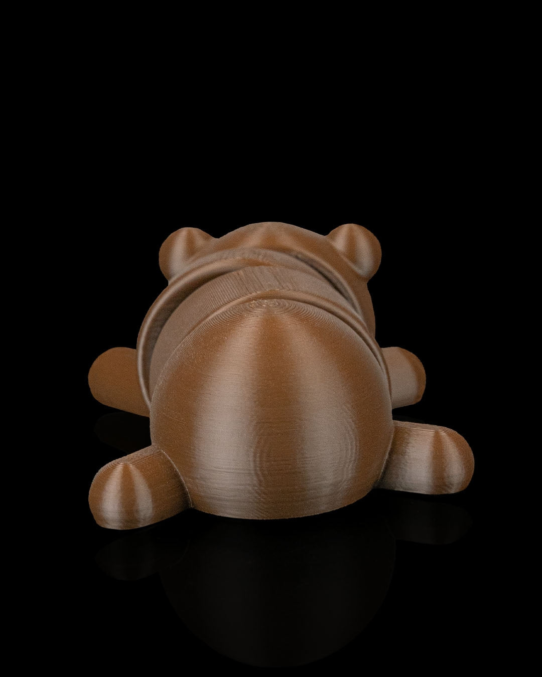 Brown Bear, Black Bear, Oh MY!